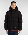 Dickies Piumino Eagleville Nero