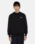 Dickies Felpa Summerdale Nero
