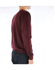Daniele Fiesoli Maglia Girocollo in Lana Merinos Uomo Vino